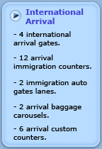 International Arrival
